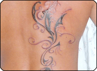 click to view larger