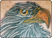 click to view larger